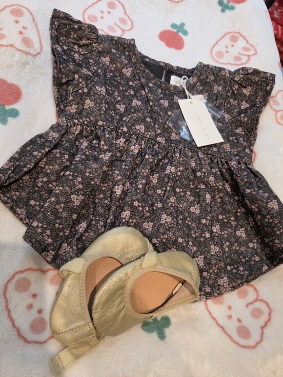 Jamie Kay Other - Nwt Jamie Kay 6-12 Month Dress And Preowned Gold Moccasins Lots Baby Girl